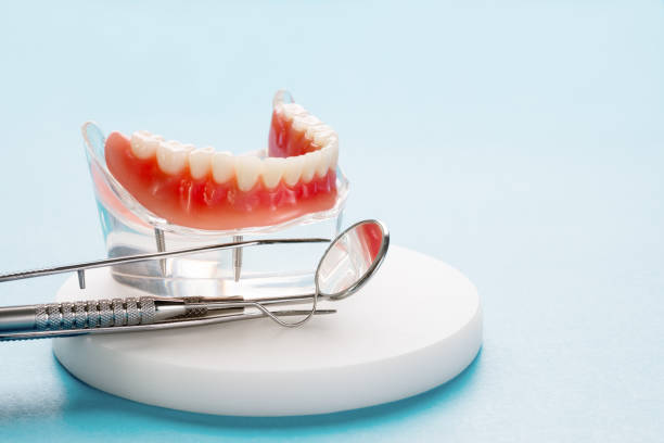 Best Dental Exams and Cleanings  in Shannon, MS